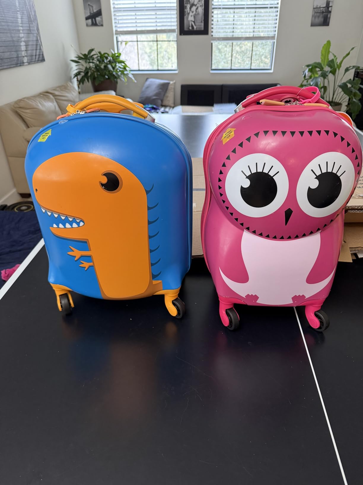 Rockland Jr. Kids' My First Hardside Spinner Luggage, Telescoping Handles, Owl, Carry-On 19-Inch customer photo 2
