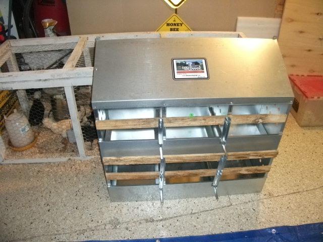 Brower 2-Tier 6-Hole Galvanized Steel Chicken Nesting Box, 30 to 40 Hen Capacity – Outdoor Poultry Laying Station with Hinged Folding Perches, Ventilated Design & Slanted Roof – Made in the USA customer photo 1
