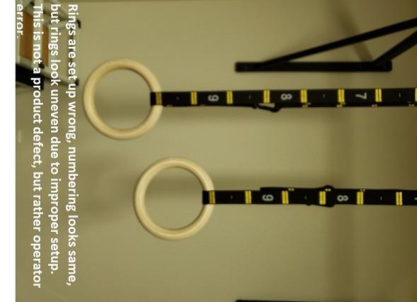 Double Circle Gymnastics Rings with Straps, Calisthenics Wooden Rings (Multi-Size) customer photo 1