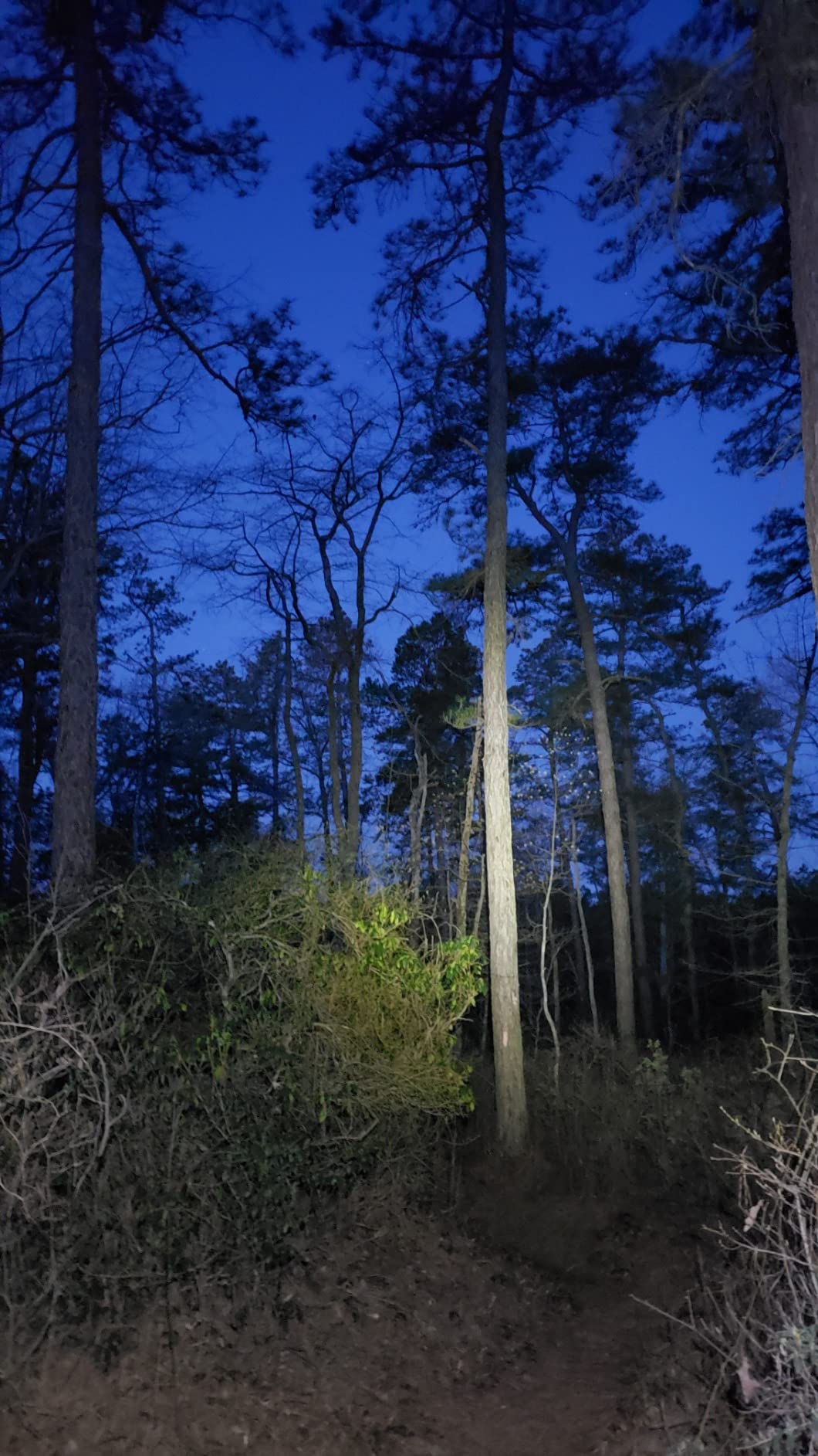 Nitecore NU30 500 Lumen LED Rechargeable Headlamp with White and Red Beams customer photo 1