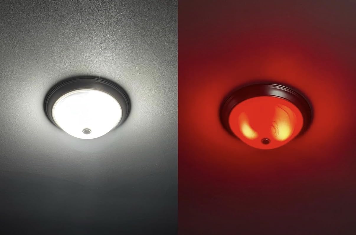 Feit Electric Smart Light Bulbs, A19 RGBW Color Changing - 60W Eq - 1 Pack customer photo 1