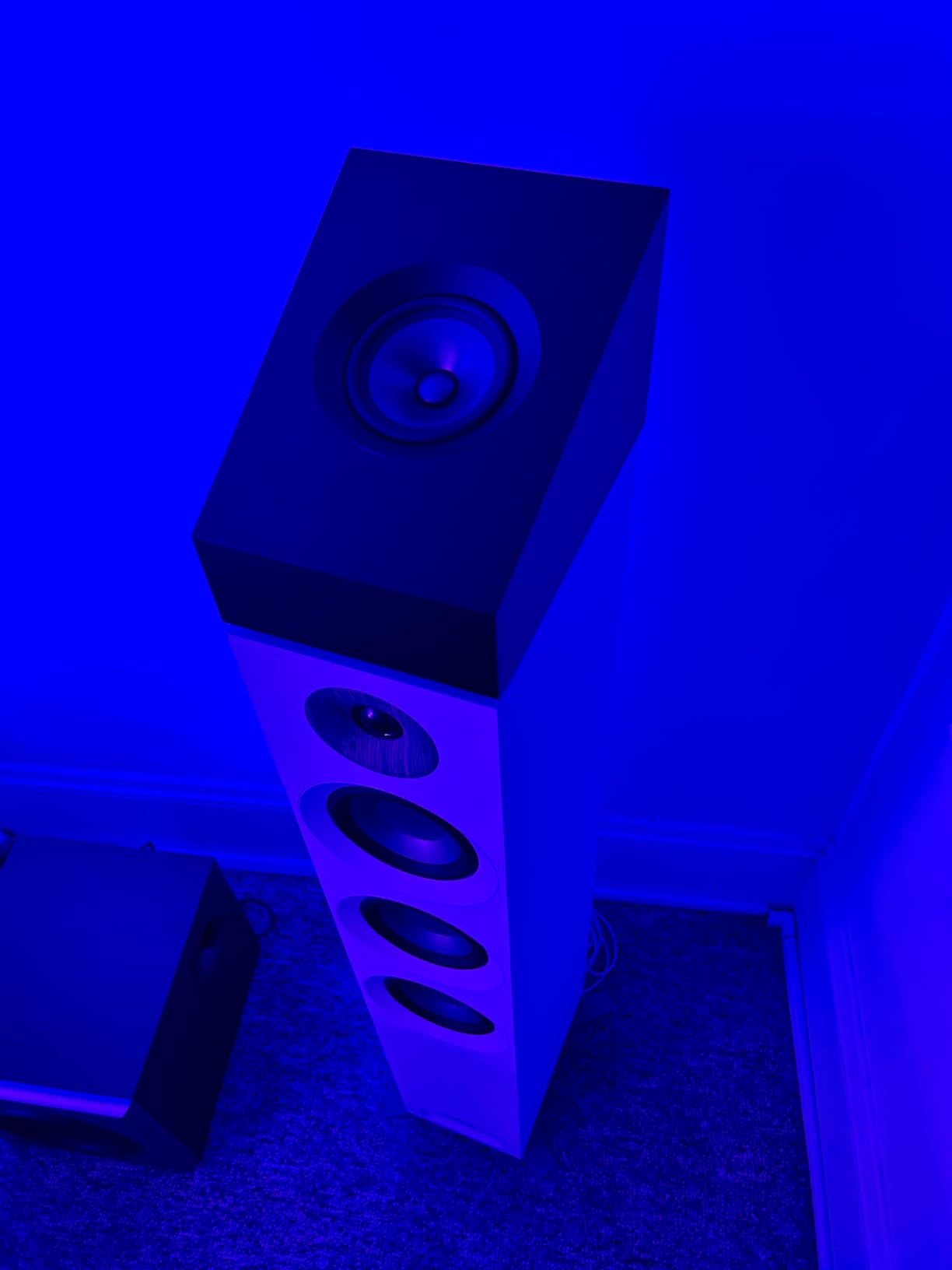 Jamo S 8 ATM BLACK customer photo 2