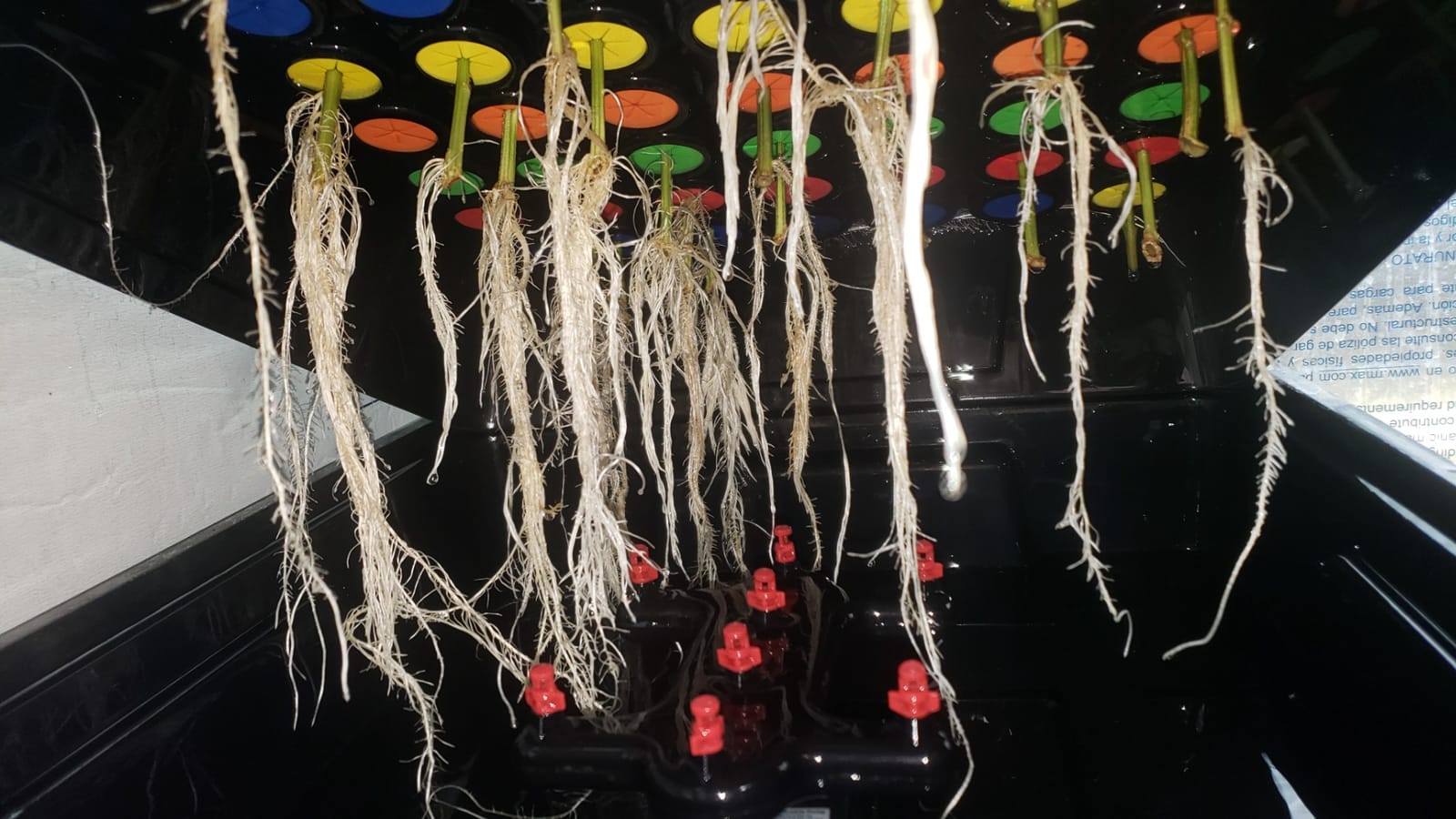 HORTIPOTS Cloning Machine Aeroponic Cloner System 70 Site for Plant Cuttings Using 1.625 inch Neoprene Clone Inserts (1-5/8 inch) customer photo 1