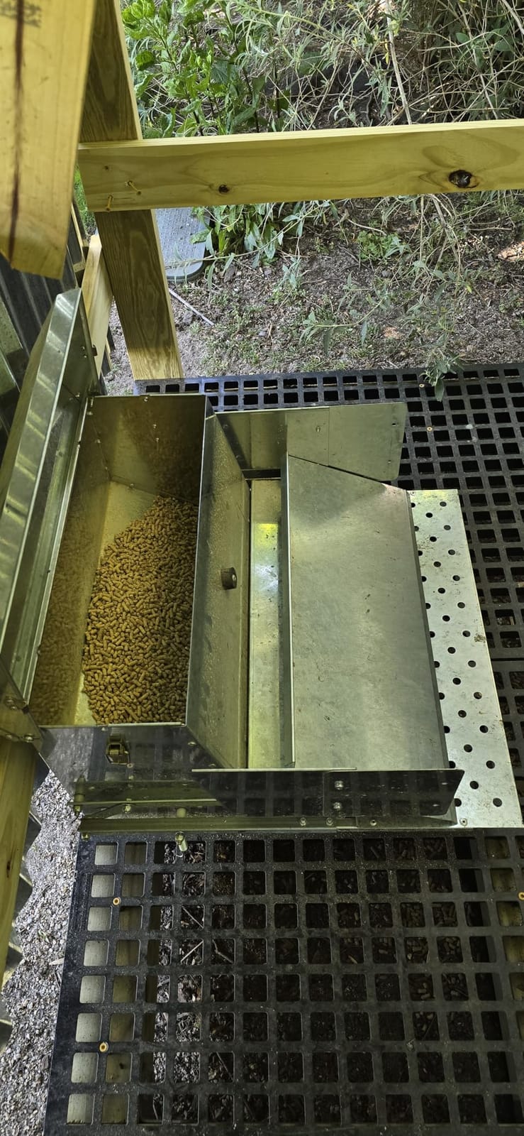 RentACoop Automatic Treadle Chicken Feeder, Rat Proof No Waste, 25 lb customer photo 1