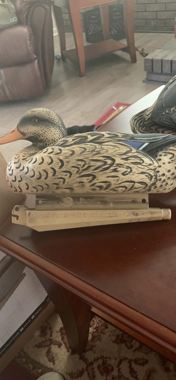 Avery GHG Essential Mallard Duck Decpus - 12 Pack customer photo 2