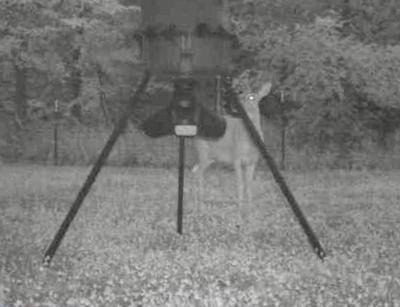 Moultrie Gravity Feeder Kit with Quick-Lock Adapter customer photo 1