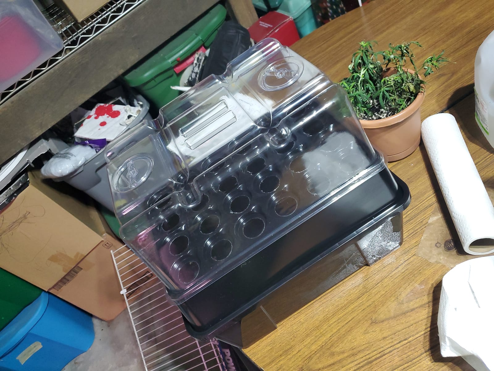 Aeroponic Cloner Machine 24 Site for Cuttings Rooting Using 2 inch Neoprene Inserts or 2 inch Clone Collars customer photo 1