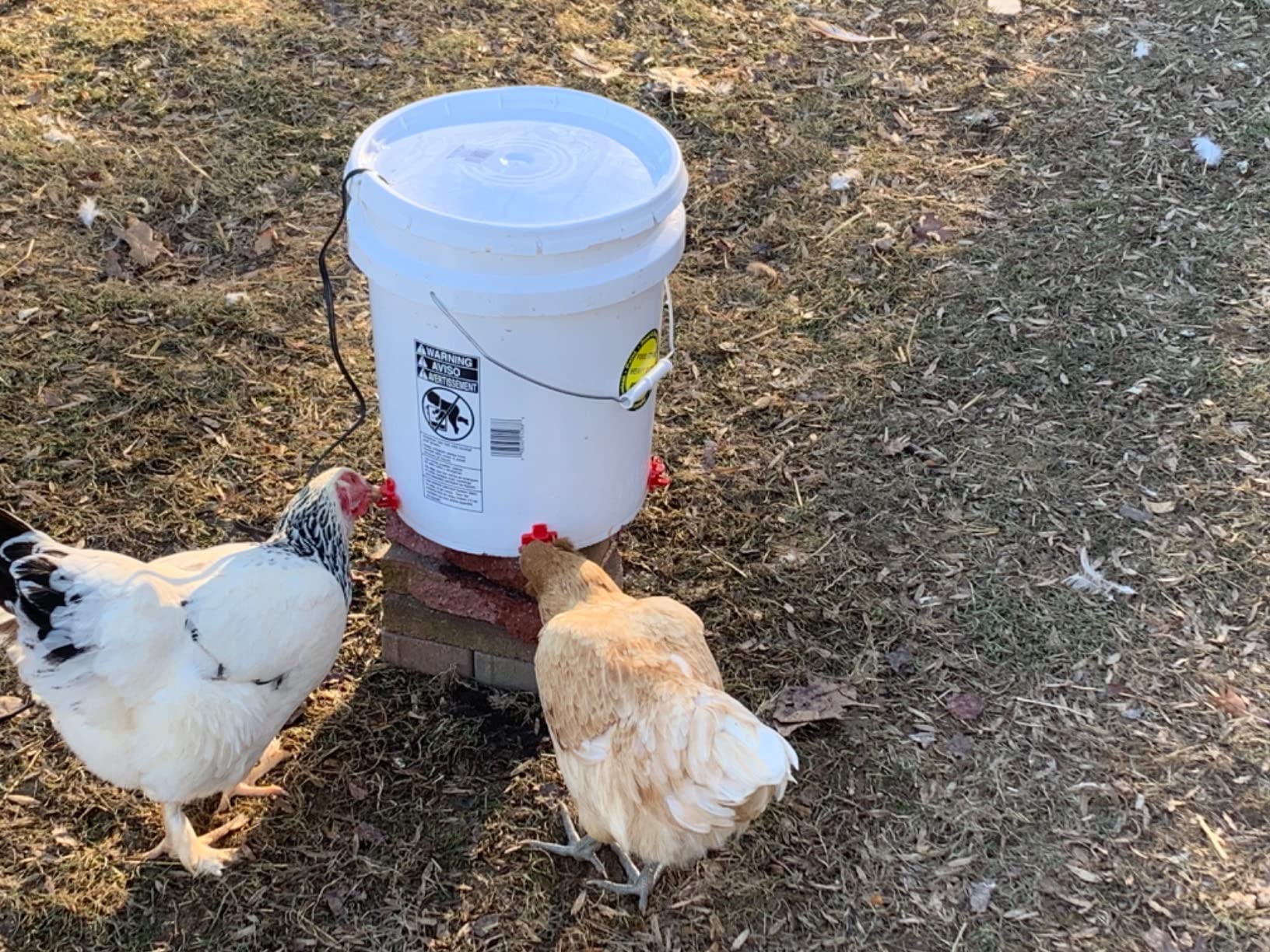20 Pack Chicken Waterer Nipples for Chicks to Chickens with Drill Bits customer photo 2