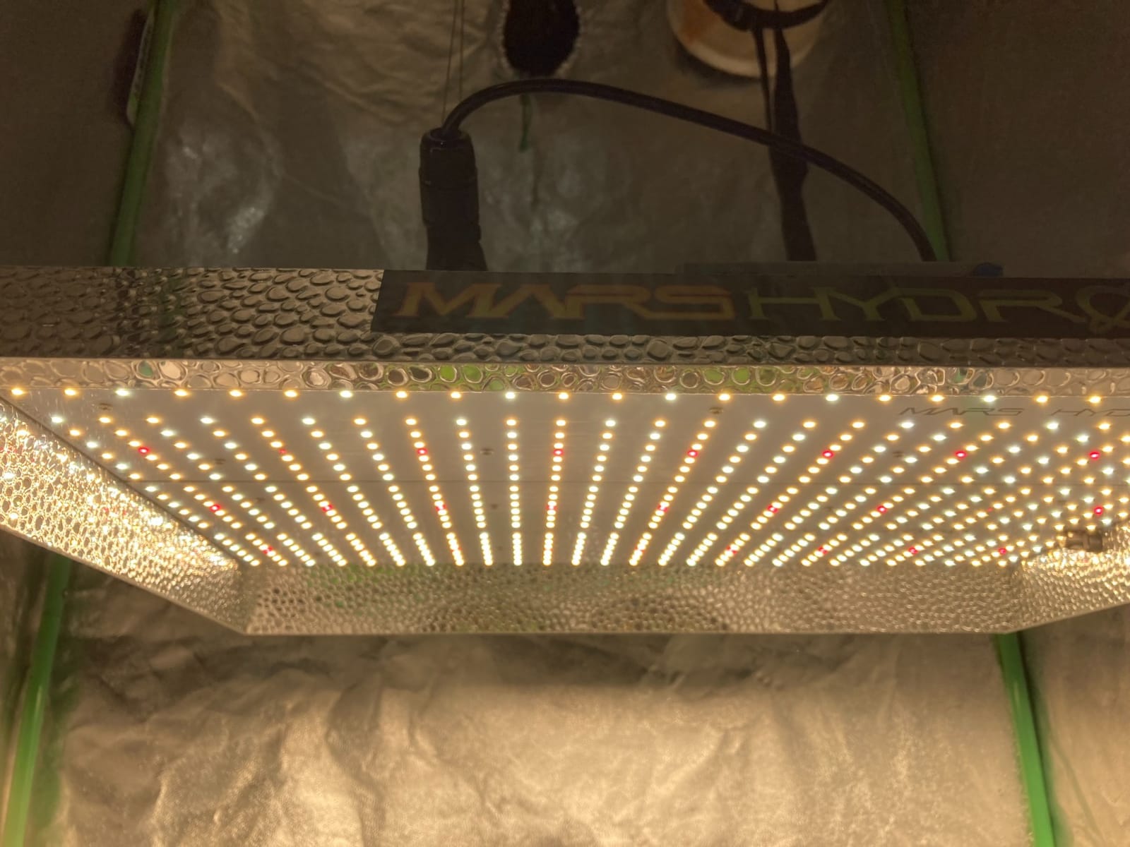MARS HYDRO 100W TS600 2x2ft Dimmable LED Grow Lights for Indoor Plants customer photo 2