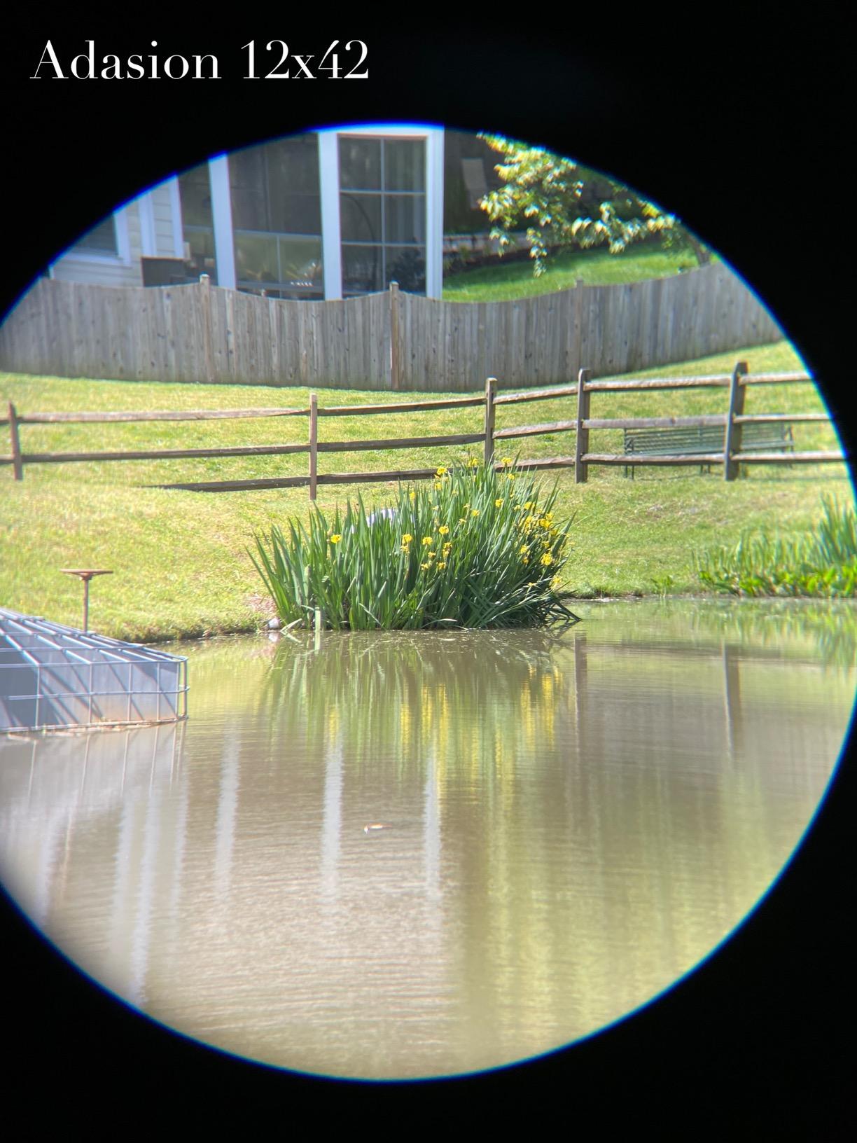 12x42 Binoculars for Adults High Powered with Phone Adapter & Tripod customer photo 2