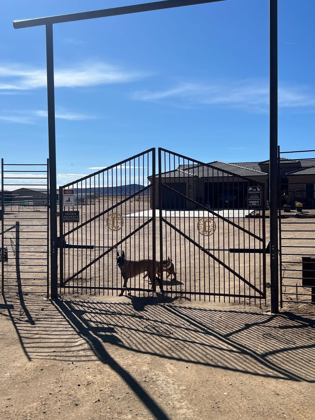 TOPENS AT1202 Dual Swing Gate Opener Heavy Duty customer photo 1