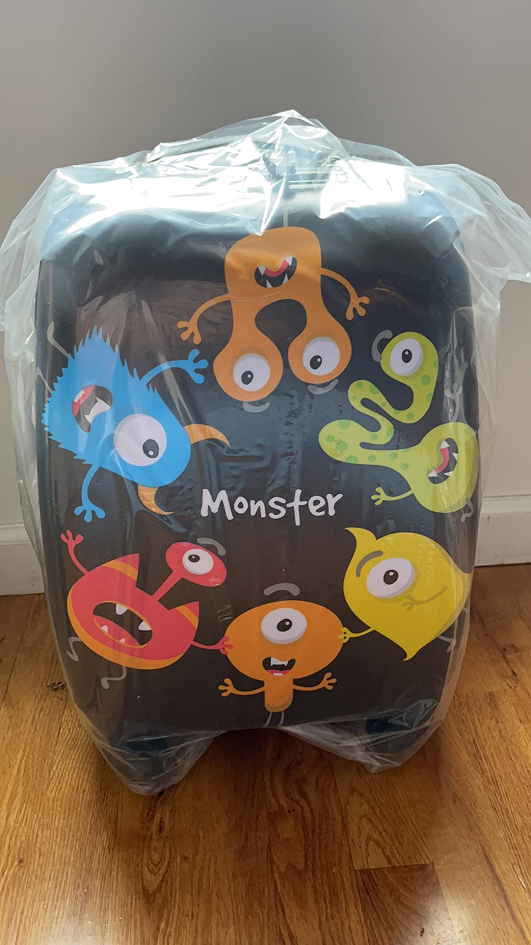 HONEY JOY 2 Pcs Kids Carry On Luggage, 12