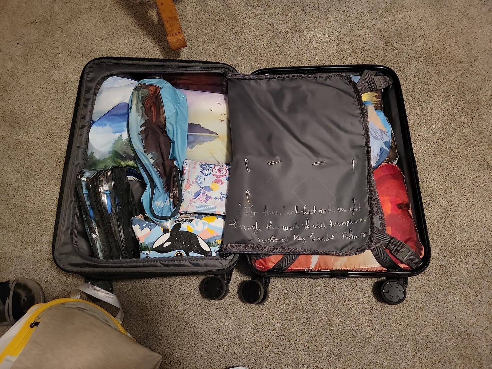 LEVEL8 Carry on Luggage Airline Approved, 20“ Expandable Carry on Suitcase customer photo 2