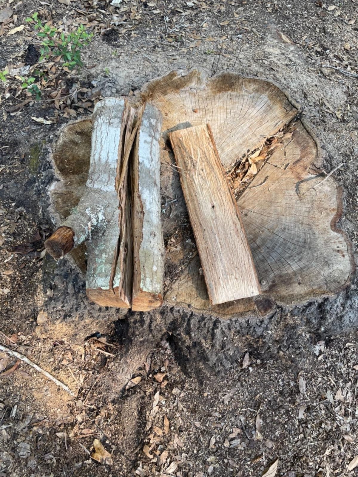 LEXIVON V28s Splitting Axe, 28-Inch Lightweight Fiber-Glass Composite Handle & Ergonomic TPR Grip | Protective Carrying Sheath Included (LX-V28s) customer photo 2