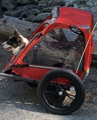 Allen Sports Hi-Viz 2-Child Bicycle Trailer, Model ET2 customer photo 2