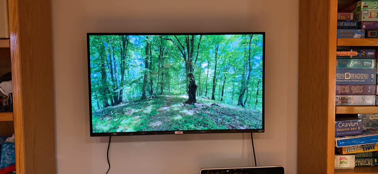 TCL 55S435 customer photo 2