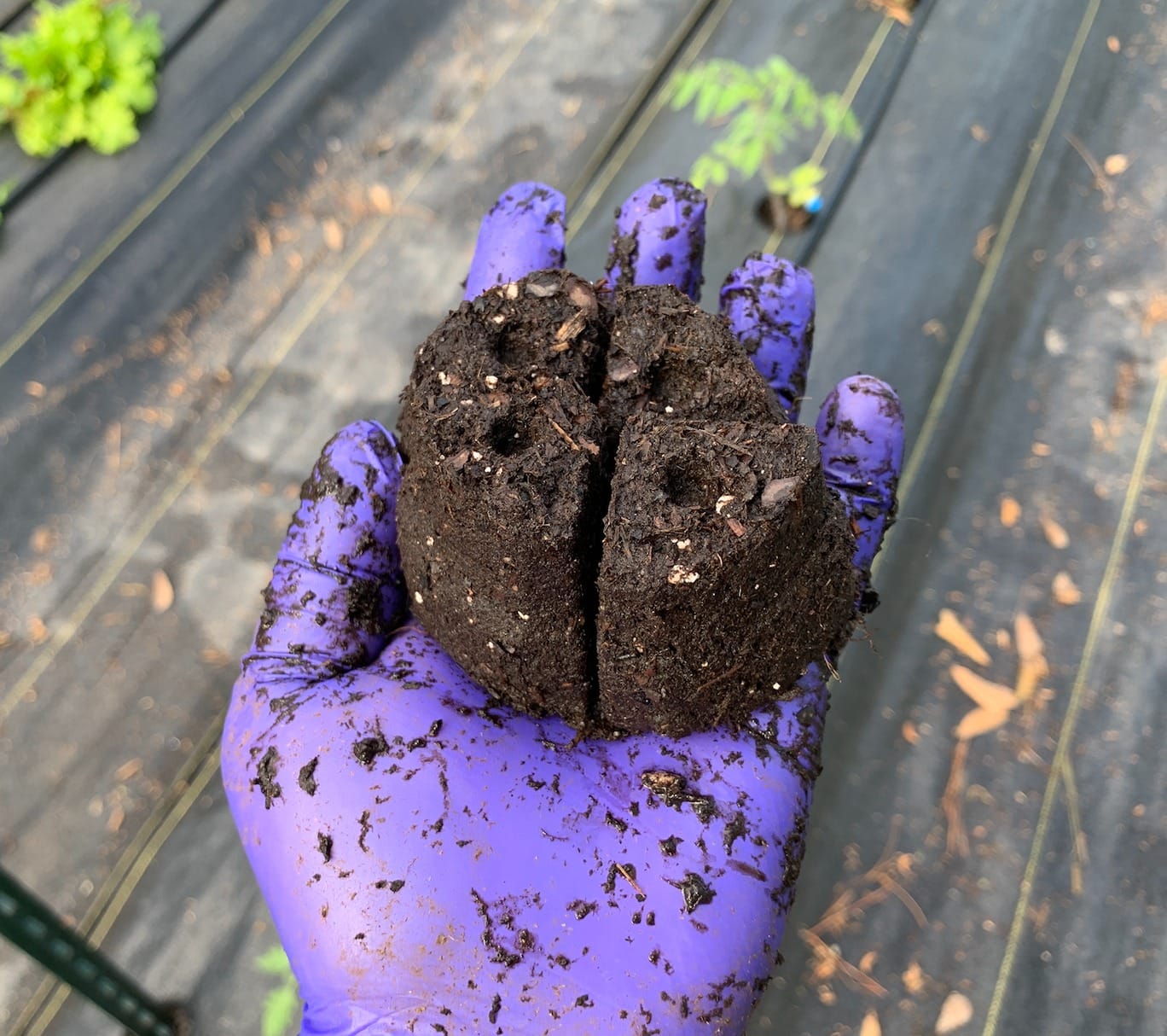 Fiskars Garden Soil Block Maker for Plant Seeds with Natural Air Pruning customer photo 2