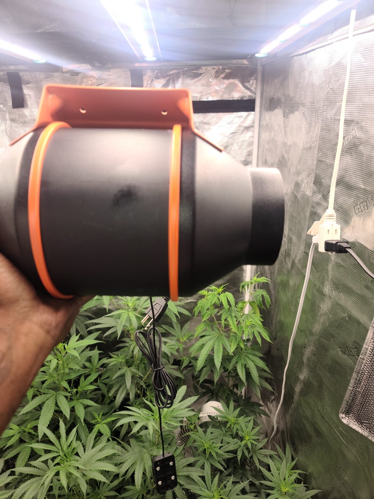 Spider Farmer 4 Inch Inline Duct Fan, 205 CFM Quiet EC Motor customer photo 2
