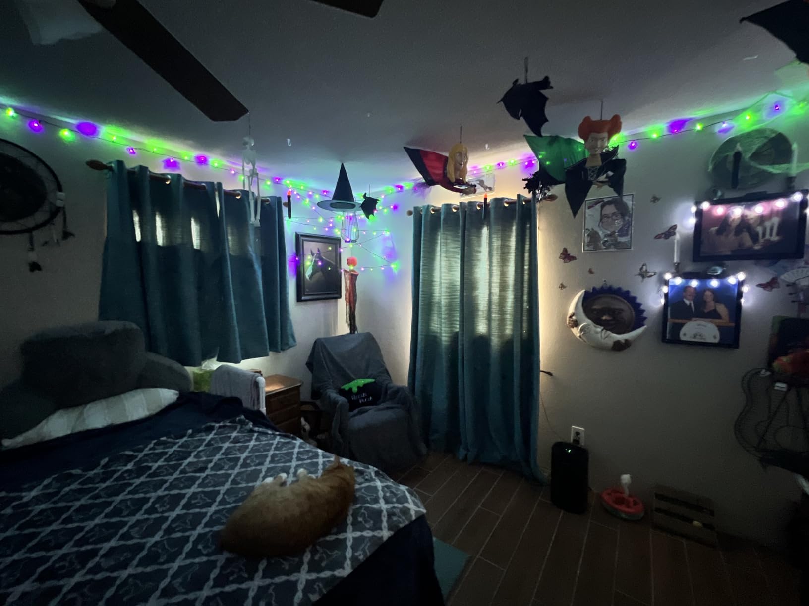 Brizled Halloween Lights Outdoor, 95.14ft 240 LED Purple & Orange Lights customer photo 1