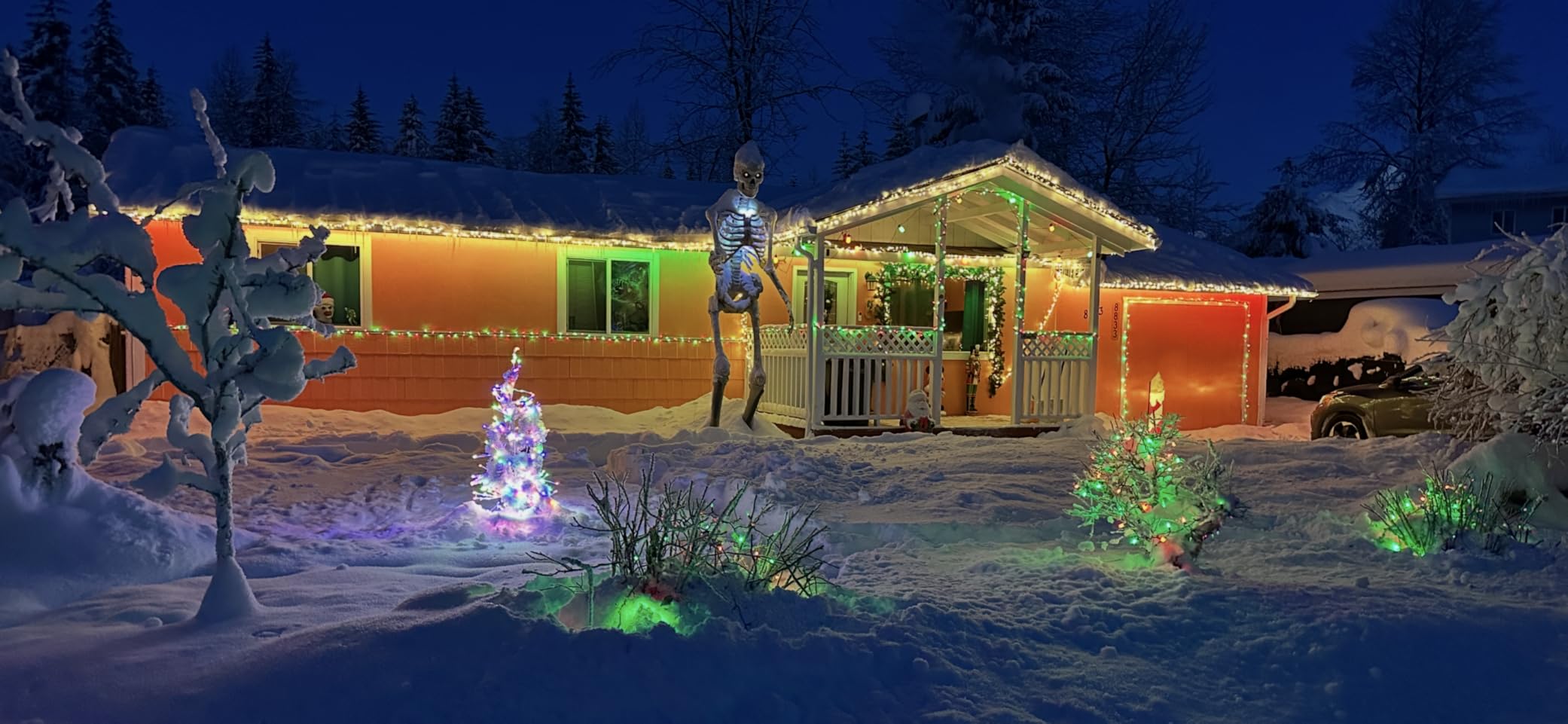 Brizled Halloween Lights Outdoor, 95.14ft 240 LED Purple & Orange Lights customer photo 2