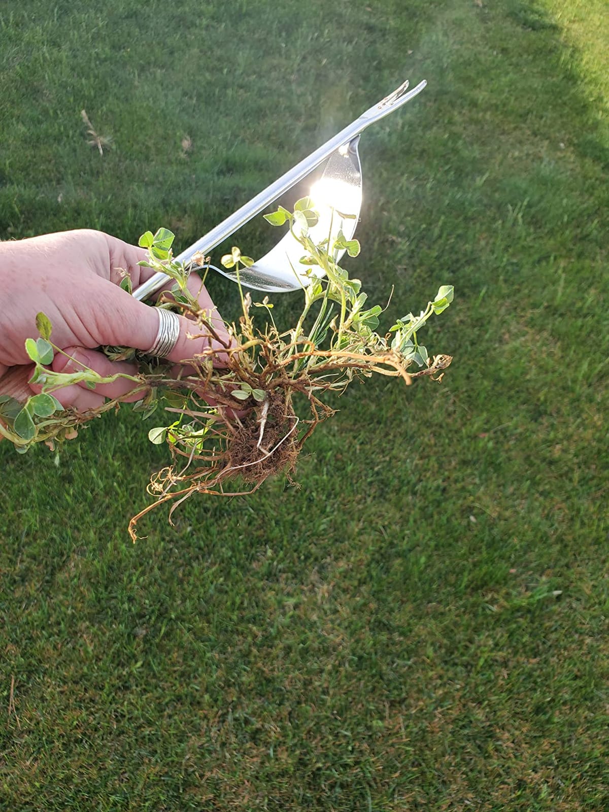 Grampa's Hand Weeder Tool with Lever Design for Easy Weed Removal customer photo 2