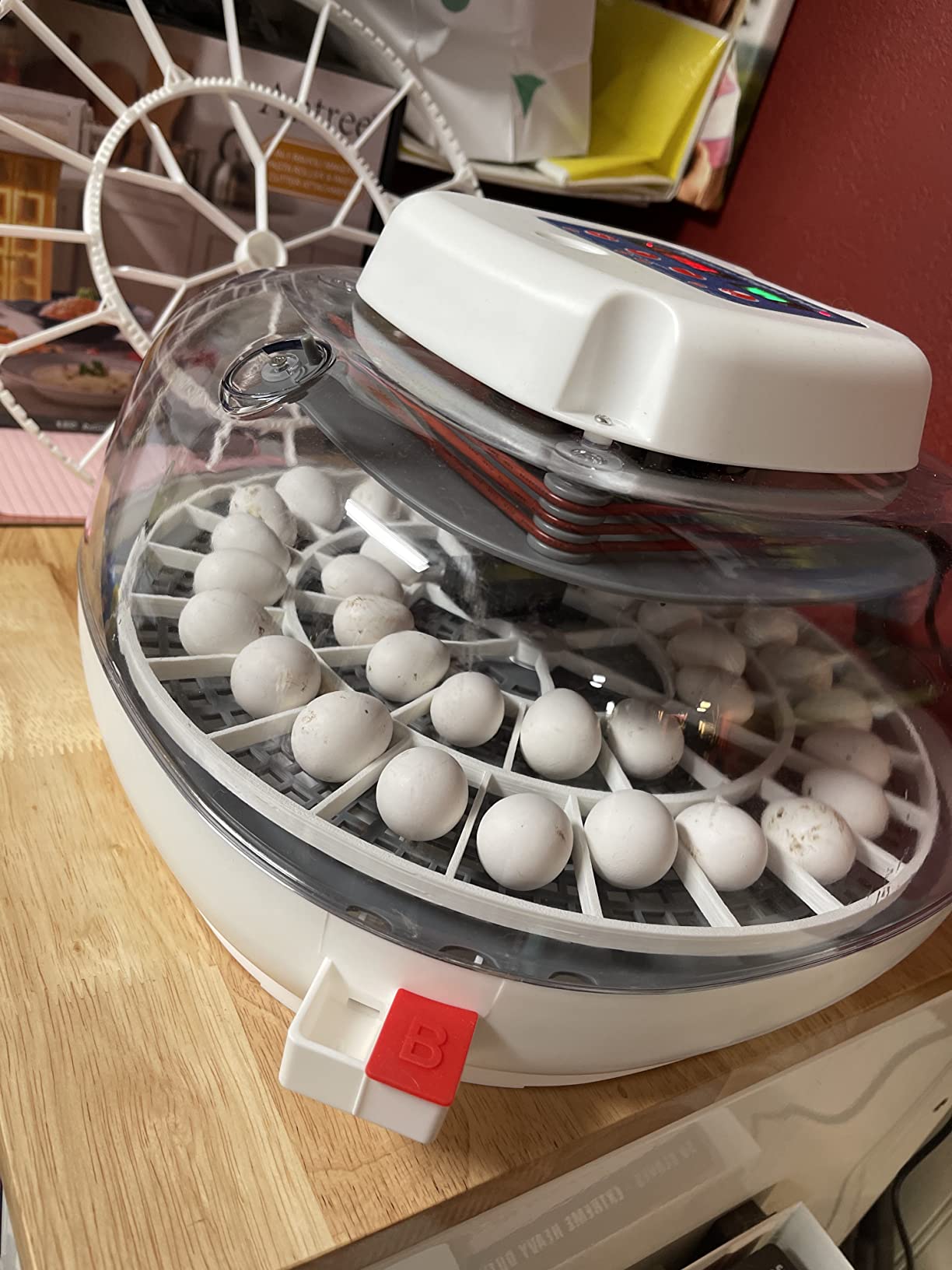Generic 3D Printed Quail Egg Turner for Nurture Right 360 Incubator customer photo 1