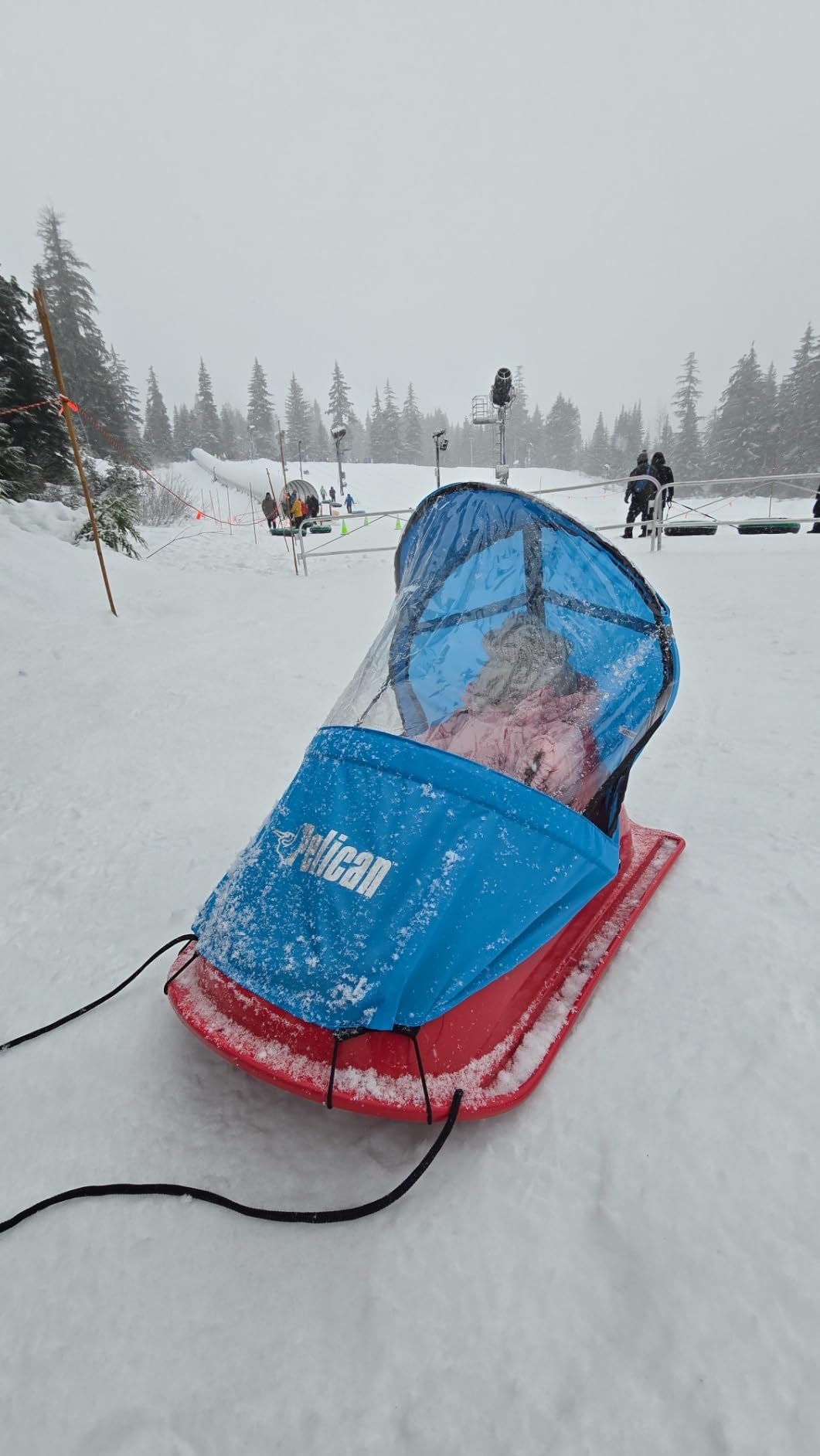 Pelican Baby Sled Deluxe with Weather Shield - Toddler Sled for Snow, Durable for Winter Sledding - Ages up to 24 Months customer photo 2