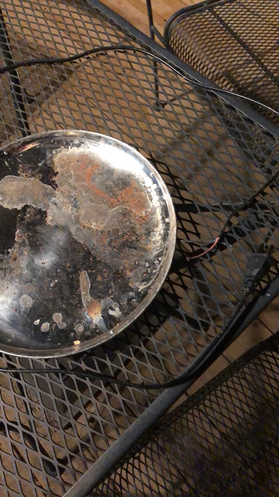 Riakrum Chicken Heated Water Base 110v 38w, 8.3 x 8.3 Inches, Green customer photo 2