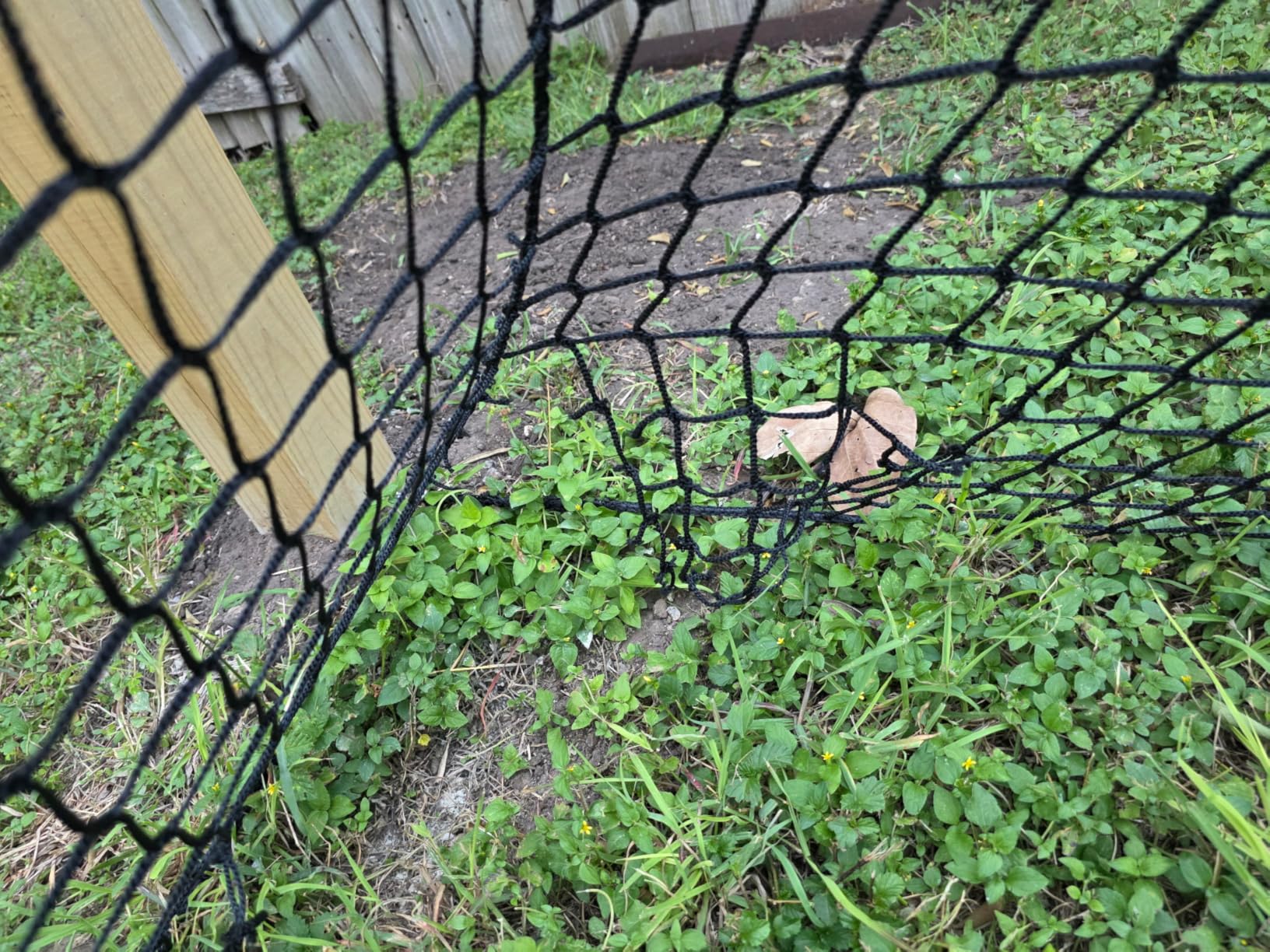 Aoneky Baseball Softball Batting Cage Netting, Durable Nylon Practice Training Net for Backyard Garage Use (Net Only, Frame Not Included) customer photo 1