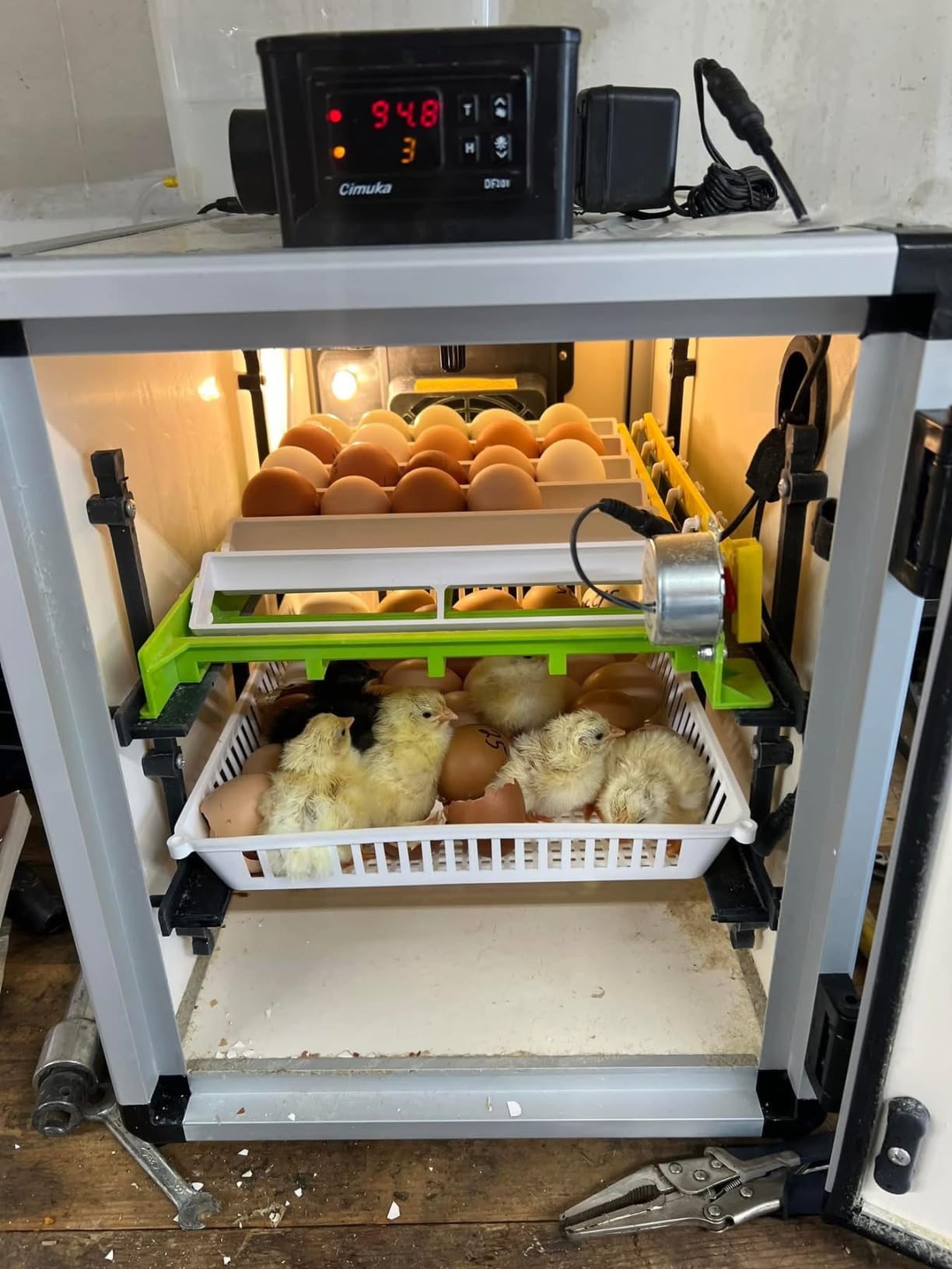 Hatching Time Incubators for Hatching Eggs, CT180SH Egg Setter & Hatcher customer photo 1