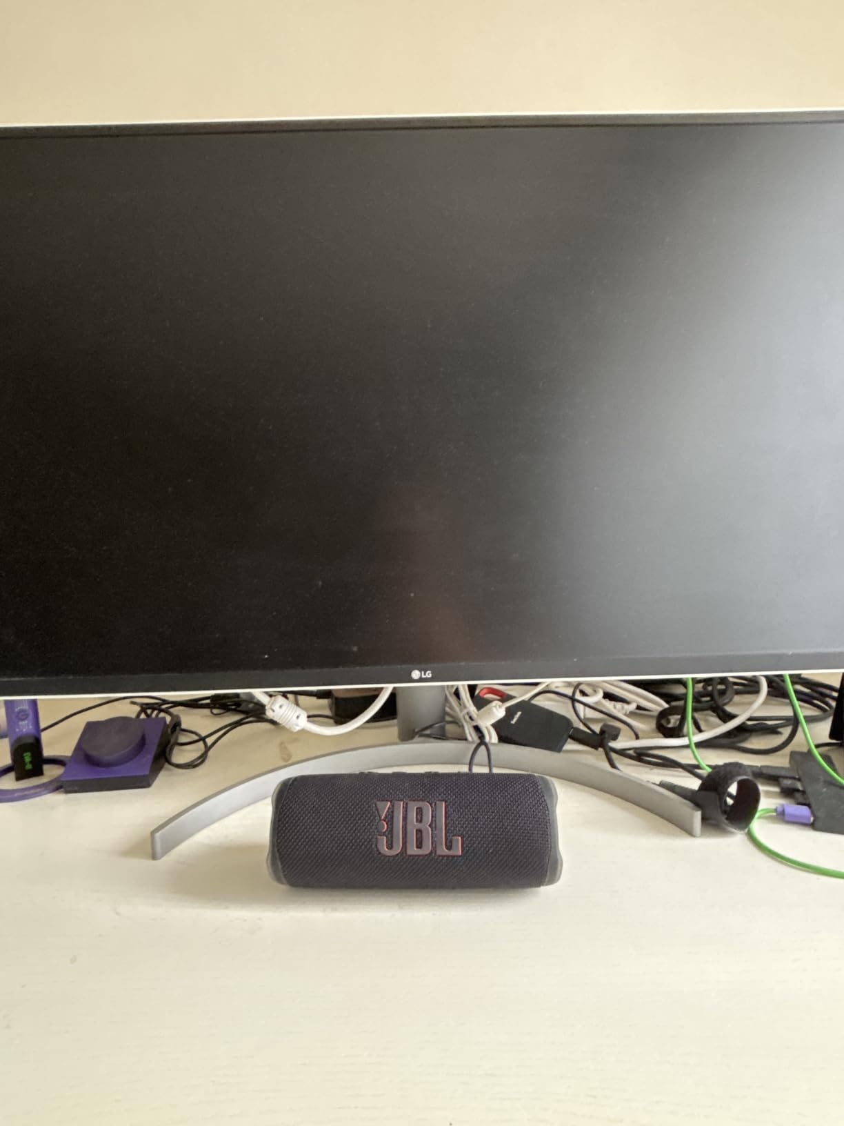 JBL Flip 6 customer photo 1