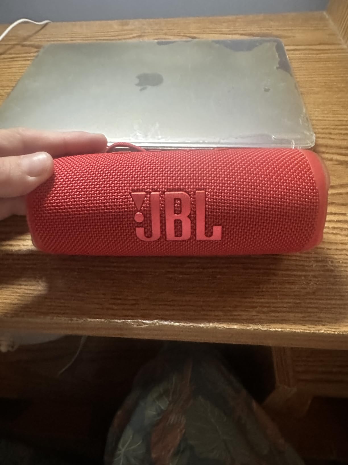 JBL Flip 6 customer photo 2