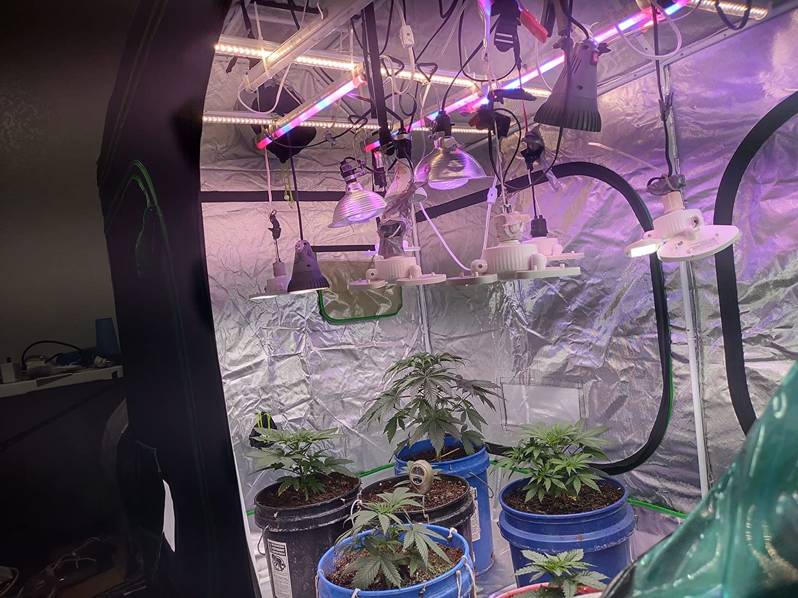 3x3 Green Hut Grow Tent 32