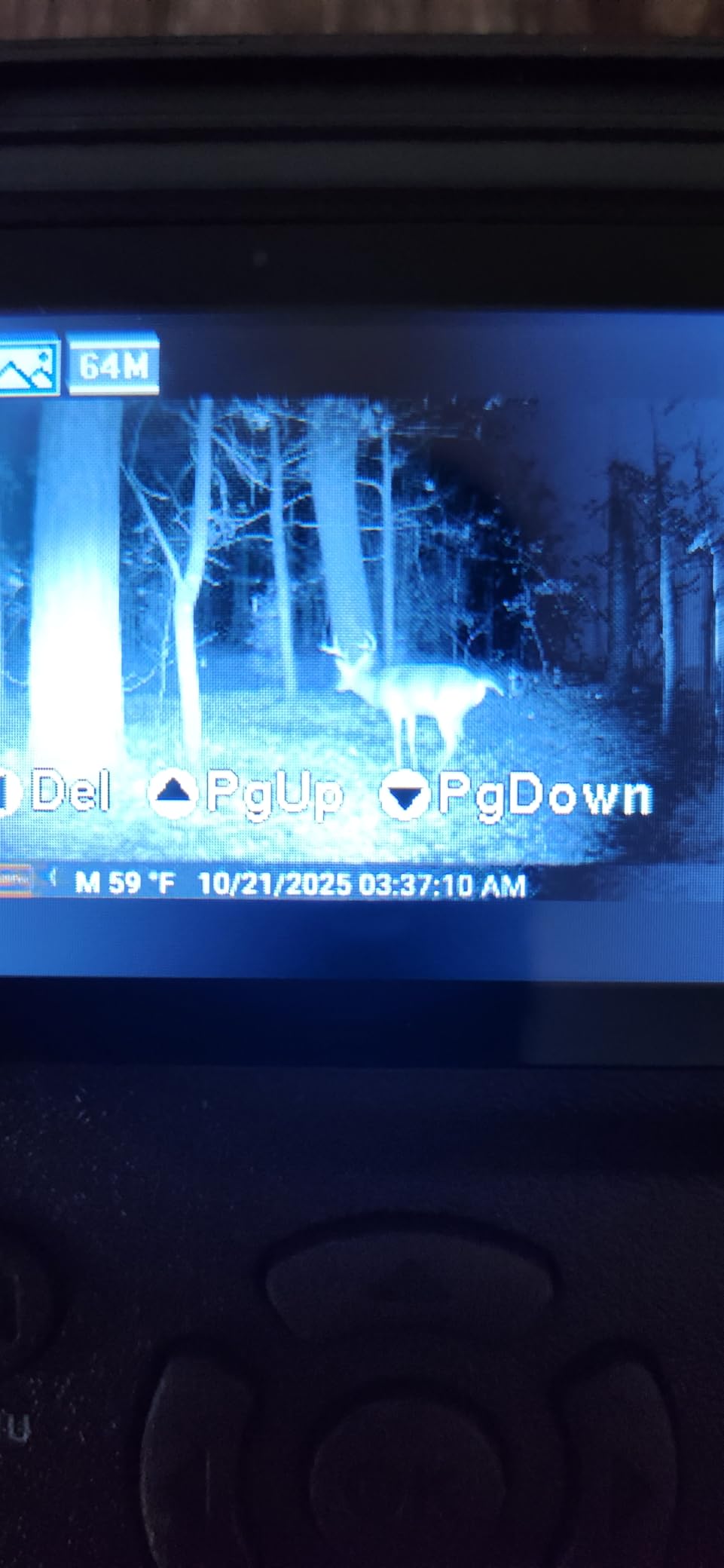 GardePro E5S Non-Cellular Trail Camera, 64MP Photo & 1296P HD Video customer photo 2