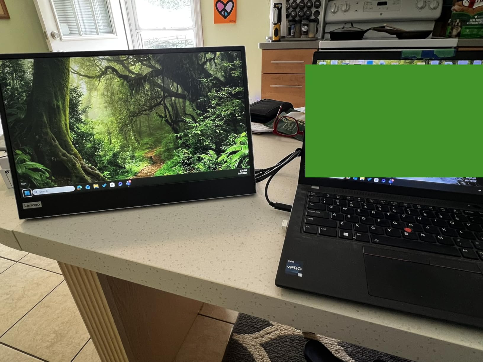 Lenovo L15 Portable Monitor, 15.6” Display, Full HD Resolution, IPS Panel, 250 nits Brightness, 60Hz Refresh Rate, USB-C Ports, Height-Adjustable Stand, Flicker-Free Technology, Grey customer photo 2