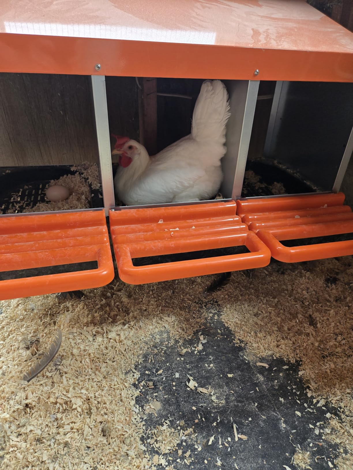 ZenxyHoC Chicken Nesting Box Red 3 Compartments customer photo 1