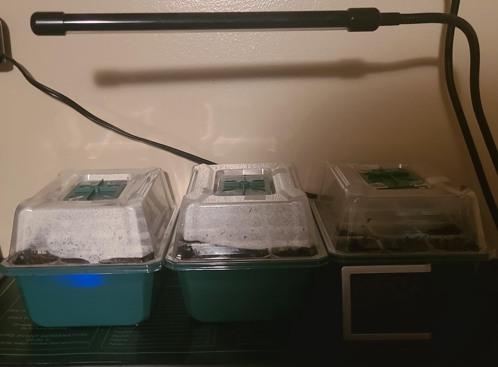VIVOSUN 6-Pack Seed Starter Trays & 10