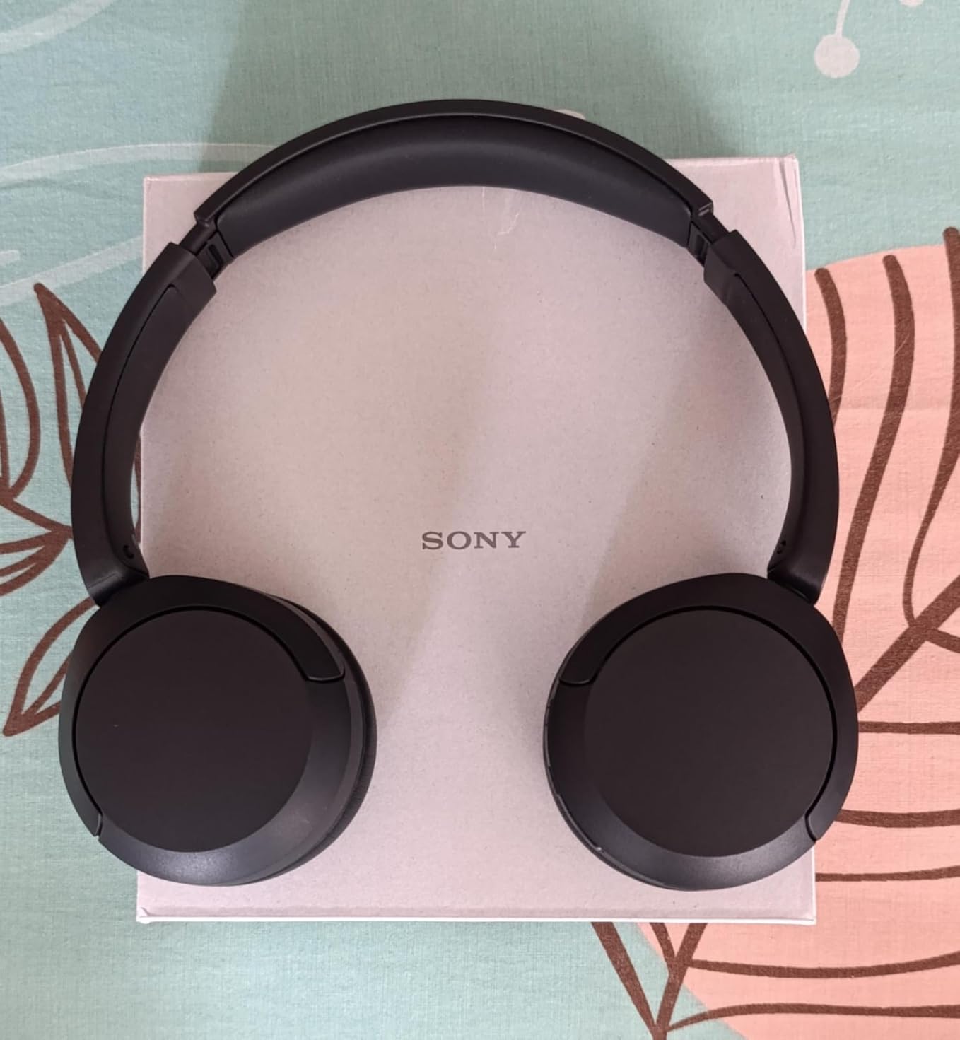 Sony WH-CH520 customer photo 1