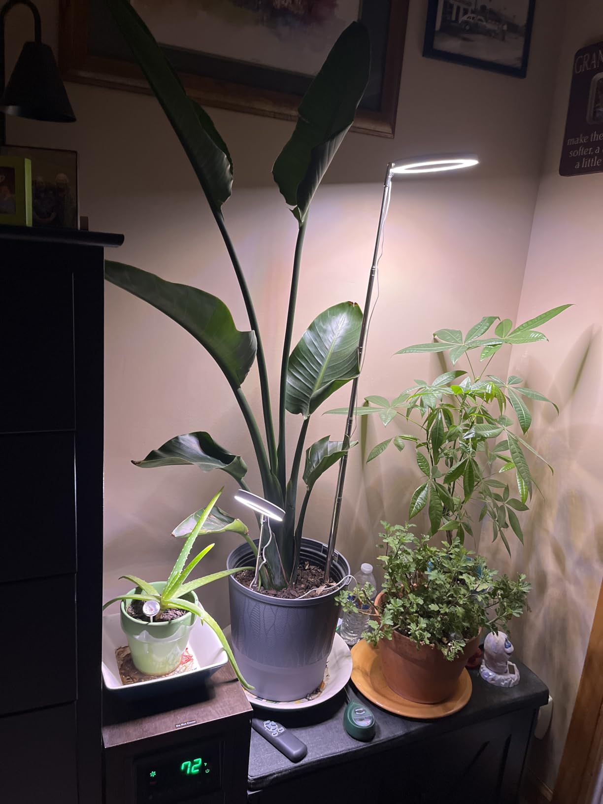 Plant Grow Light,yadoker LED Growing Light Full Spectrum for Indoor Plants,Height Adjustable, Automatic Timer, 5V Low Safe Voltage,Idea for Large Plant Light customer photo 1