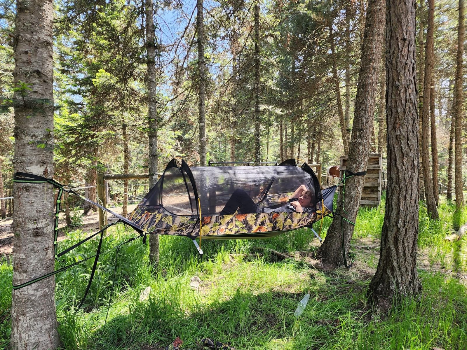 Night Cat Flat Lay Hammock Tent with Mosquito Net Waterproof Rainfly for 1 Person Backpacking Hiking Camping Lightweight 330LBS 87x28x19in customer photo 1