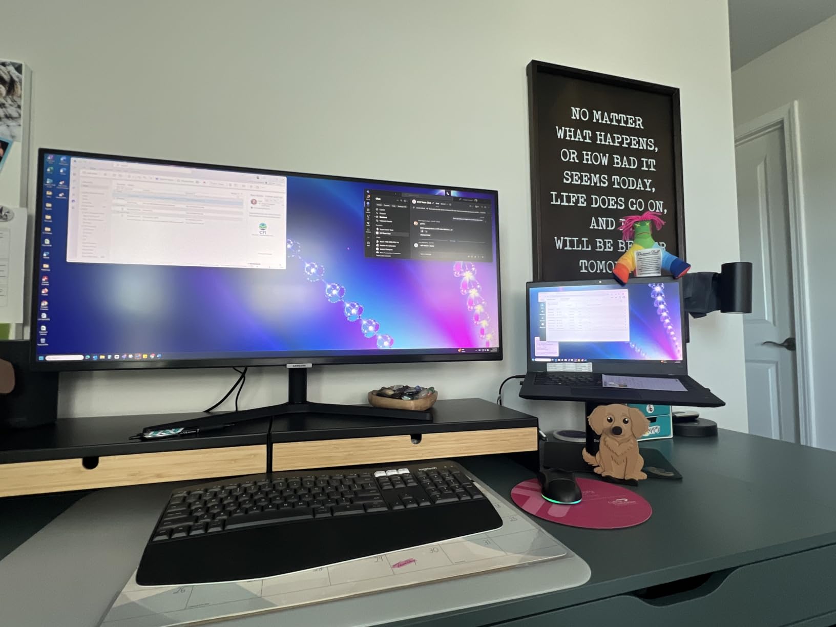 Samsung ViewFinity S50GC customer photo 2