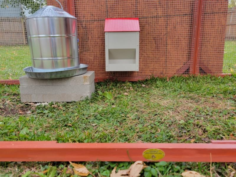 Galvanized Wall Mount Chicken Feeder No Waste Hanging Chicken Feeder with Lid Weatherproof Metal Automatic Poultry Feeder Trough Food Dispenser for Outside Coop (10 lbs) customer photo 2