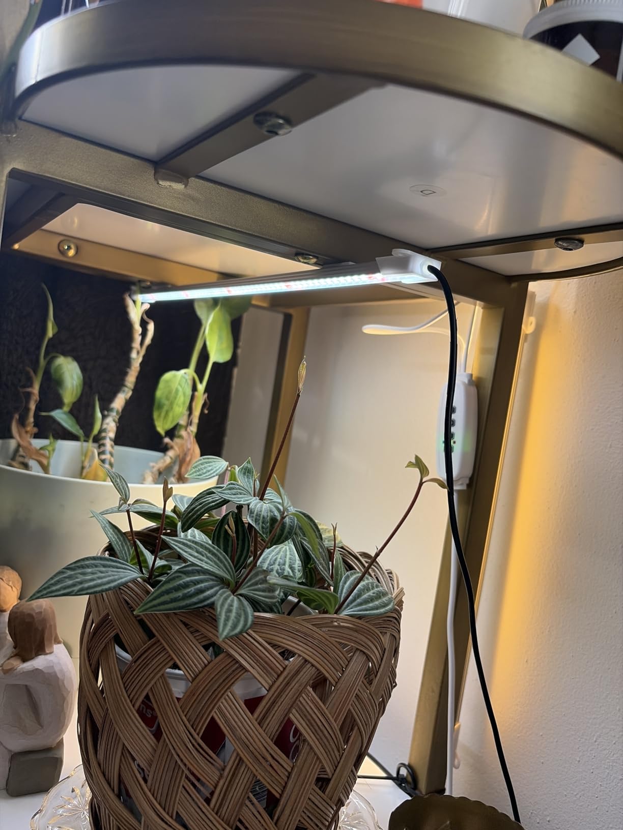 LED Grow Light Strips, 13 Inches Grow Lights for Indoor Plants Full Spectrum 3500K, 96 LEDs Plant Light with 3/9/12H Timer, 10 Dimmable Levels for Seedling Succulent, 2 Head customer photo 2