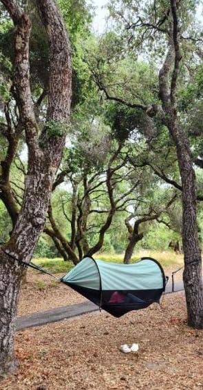 3-in-1 Camping Hammock Tent with Mosquito Net & UV Sunshade customer photo 2
