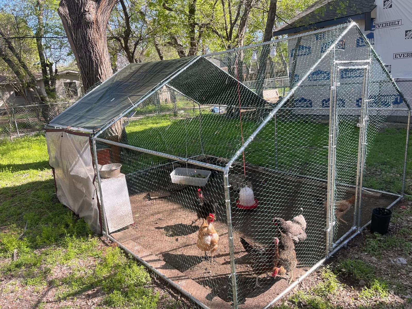 Large Chicken Coop Metal Chicken Runs for Yard with Cover Outdoor Pet Pens Poultry Cage Duck Rabbit House Backyard Use customer photo 2