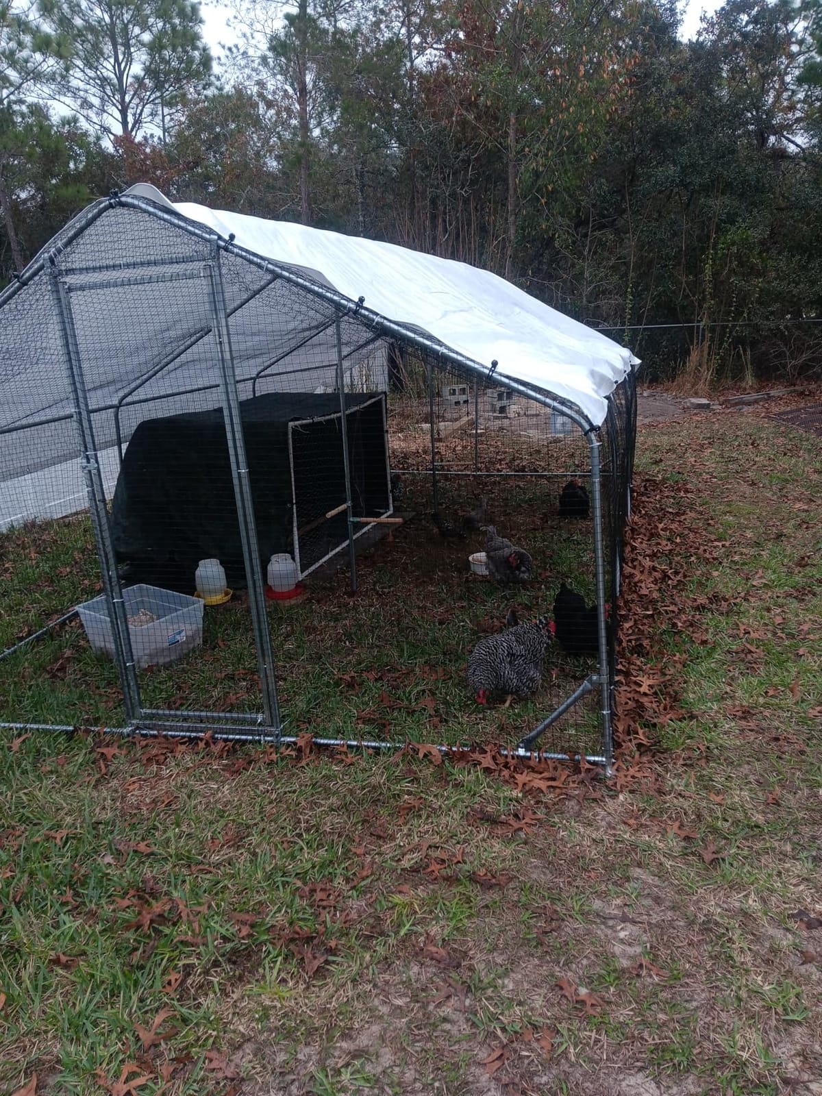 CHIKENCOOP 19.5x9.8x6.5ft Metal Chicken Coop, 3-Room Run, Hardware Cloth customer photo 2