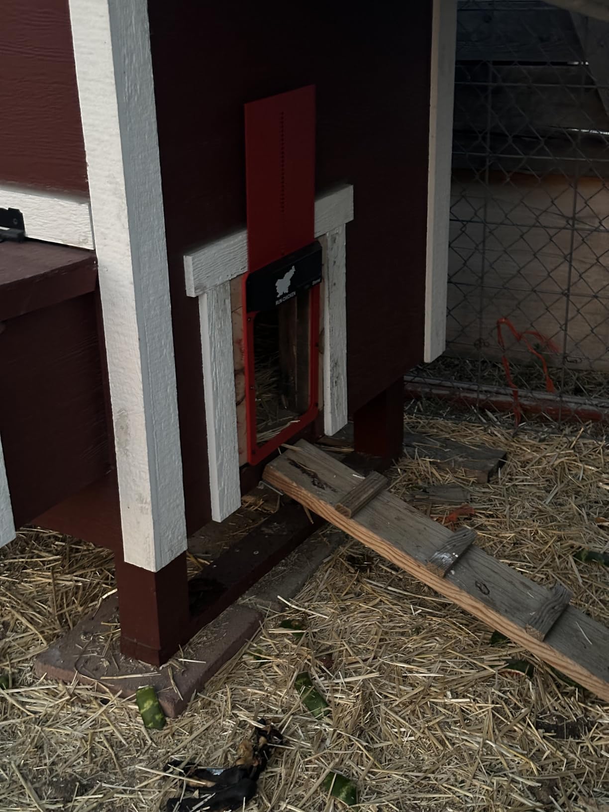 RUN-CHICKEN Door Eternal – Solar Automatic Chicken Coop Door with Built-in Solar Power & Battery Backup, Smart App & Timer Control, Weatherproof Aluminum, Predator-Proof, Easy to Install (Red) customer photo 1