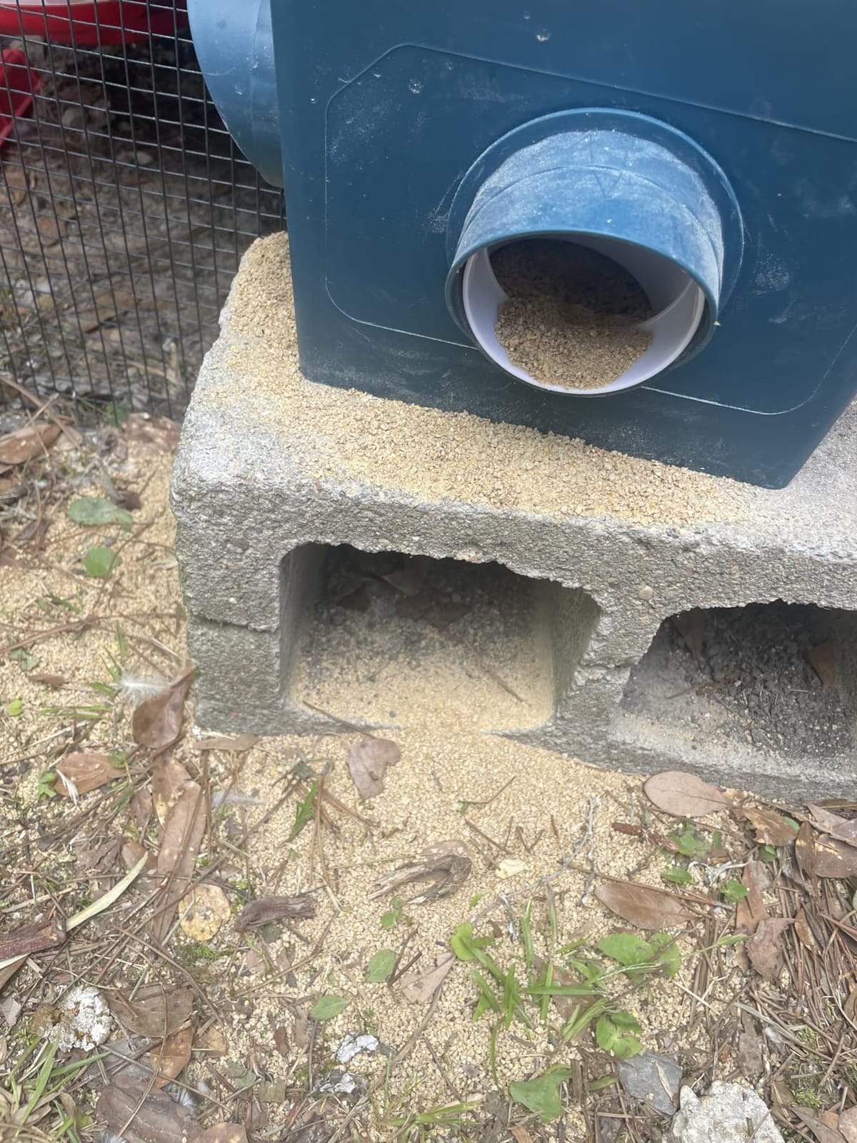 Automatic Port Chicken Feeder and Cup Waterer Set customer photo 1