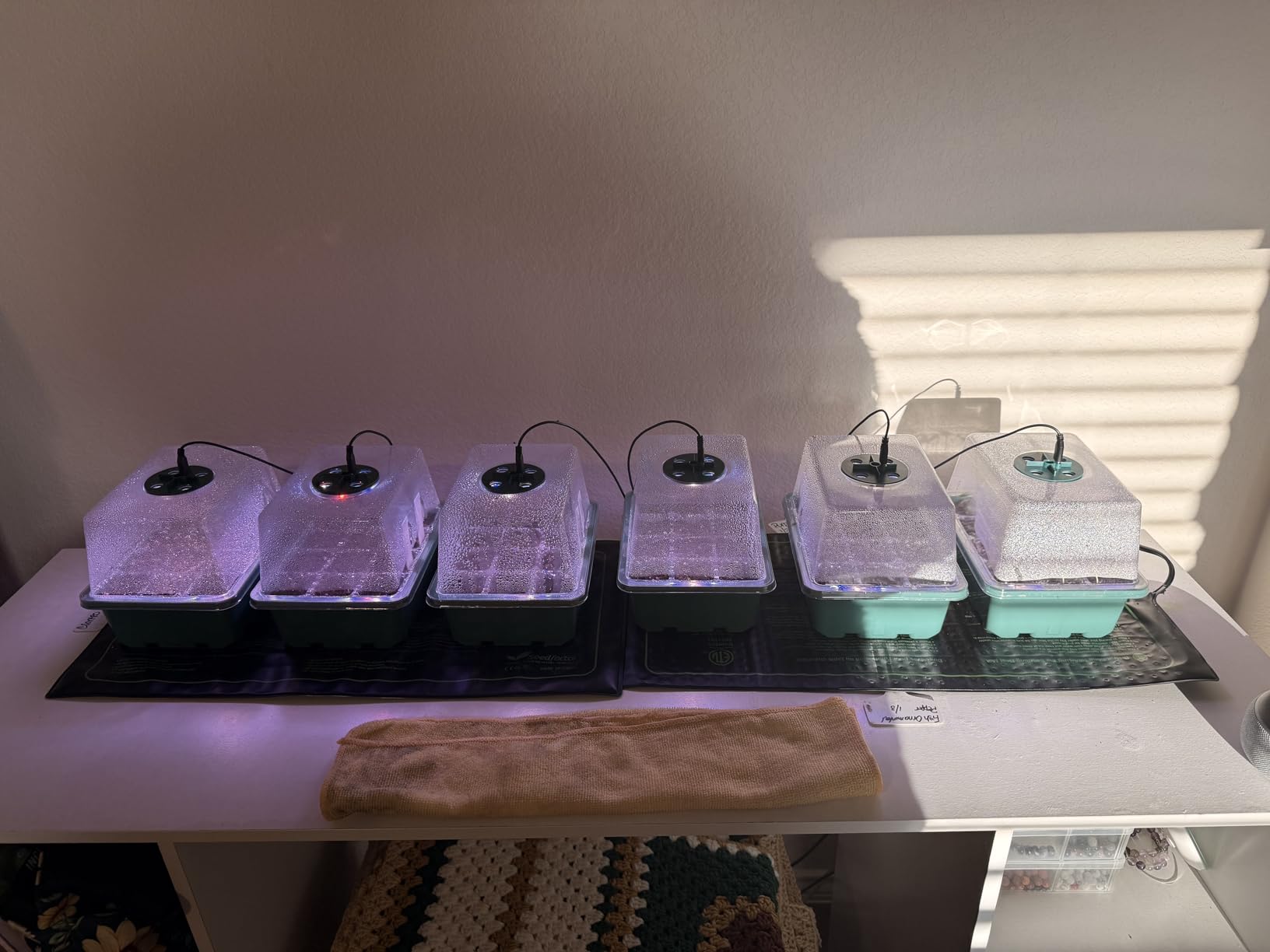 Seed Starter Trays with Grow Lights and Heat Mat, 72 Cells Seed Starter Kit with Lights, 3 Lighting Mode, 4 Timing Set, Germination Kit for Seed Starting Trays with High Humidity Control Domes customer photo 1