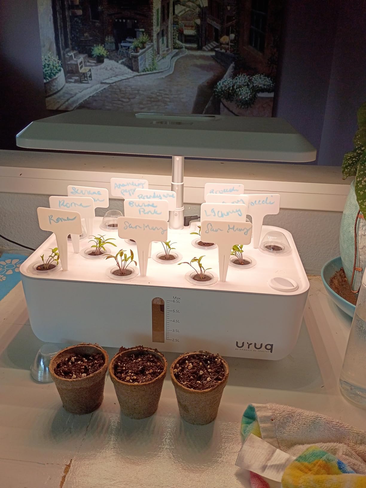 URUQ 12 Pods Hydroponic Growing System Grow Light Remote Control Charcoal customer photo 1